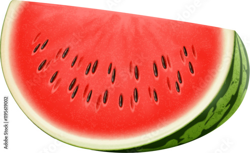 Realistic ripe raw watermelon fruit slice with a bright red interior and black seeds, highlights freshness and juiciness. Isolated vector piece of refreshing watermelon plant, summer healthy eating photo