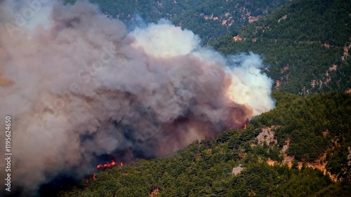 Forest fire on the slopes of hills and mountains. Wild fire in tropical forest. Large flames from forest fire. Summer forest fires. Natural disasters, Global Warming. Amazon wildfires. 