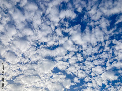 Fotografie Image of a sky filled with fluffy, dense cumulus clouds, varying in size and sca