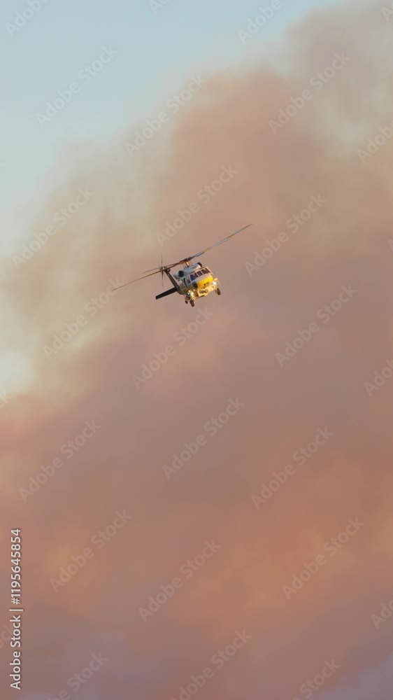 Helicopters are fighting a major wildfire in Los Angeles, capturing dramatic scenes in Malibu and Pacific Palisades, highlighting the bravery of firefighters working tirelessly