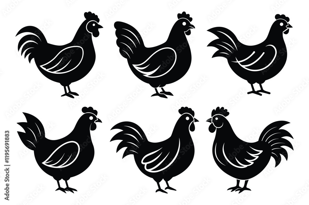 Fototapeta premium Chicken sets icon vector on White Background ,Vector Art Illustration on white background.