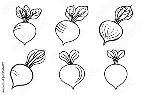 Radish sets icon vector on White Background ,Vector Art Illustration on white background.