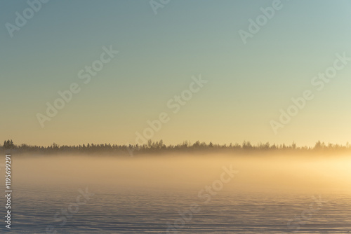 Fog overs snow field in winter in forest photo