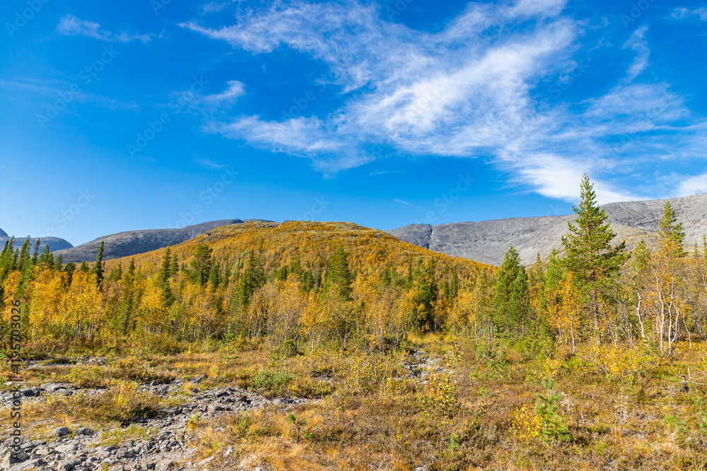 Scenic view of Khibiny mountains. Autumn colored landscape of arctic tundra Murmans region. Kola Peninsula, Russia.