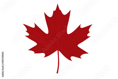 Red maple leaf is shown on a white background photo