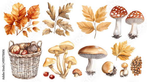 Set of edible mushrooms - birch bolete, russula, honey mushroom, champignon, chanterelle, enoki, tricholoma, porcini and autumn elements. watercolor hand drawn illustration. Firethorn. Illustration photo