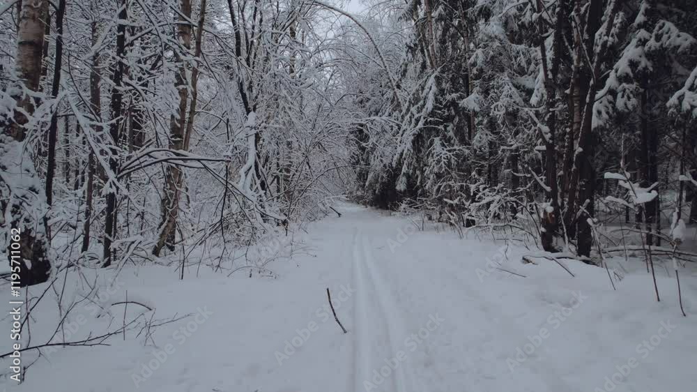 Snow-covered forest on the background of a residential complex, aerial photography of high-rise buildings in winter, residential complex and winter forest, winter in Russia, winter landscape