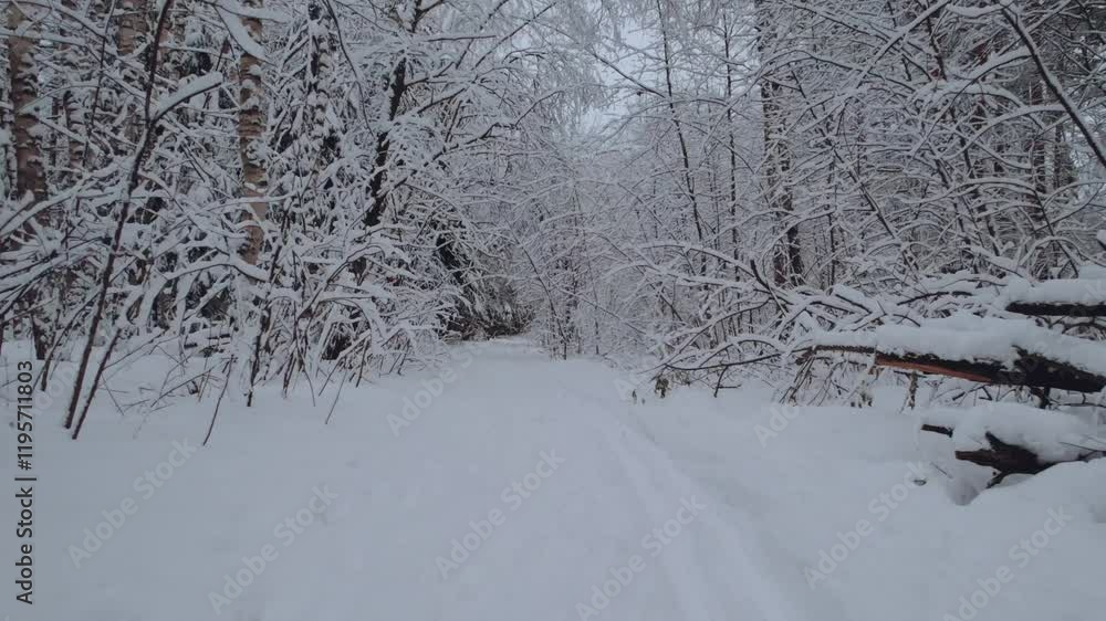 Snow-covered forest on the background of a residential complex, aerial photography of high-rise buildings in winter, residential complex and winter forest, winter in Russia, winter landscape Snow-covered forest on the background of a residential complex, aerial photography of high-rise buildings in winter, residential complex and winter forest, winter in Russia, winter landscape