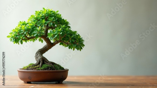 Meticulously arranged bonsai tree on a wooden platform, showcasing exquisite details and lush greenery photo