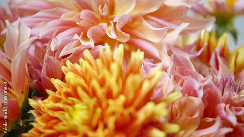 A close up of a flower with a yellow center and orange petals. The flower is surrounded by other flowers, creating a colorful and vibrant scene