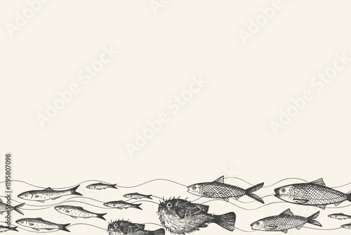 Vector banner for text with engraved Fugu fish, Anchovy, fingerling, carp, sardine. Hand drawn fished border background with sea animals. Seafood, delicacy, marine life, animals. For label, menu, card