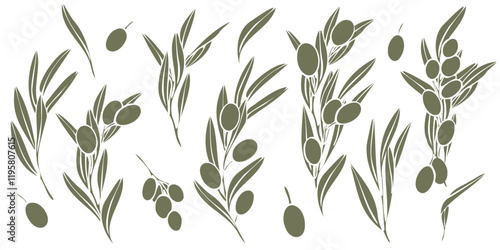 hand drawn vector collection of olive branches silhouette with fruits and leaves. Minimalist style in olive green color. Perfect for logos, packaging, menu, prints, and decorative purposes