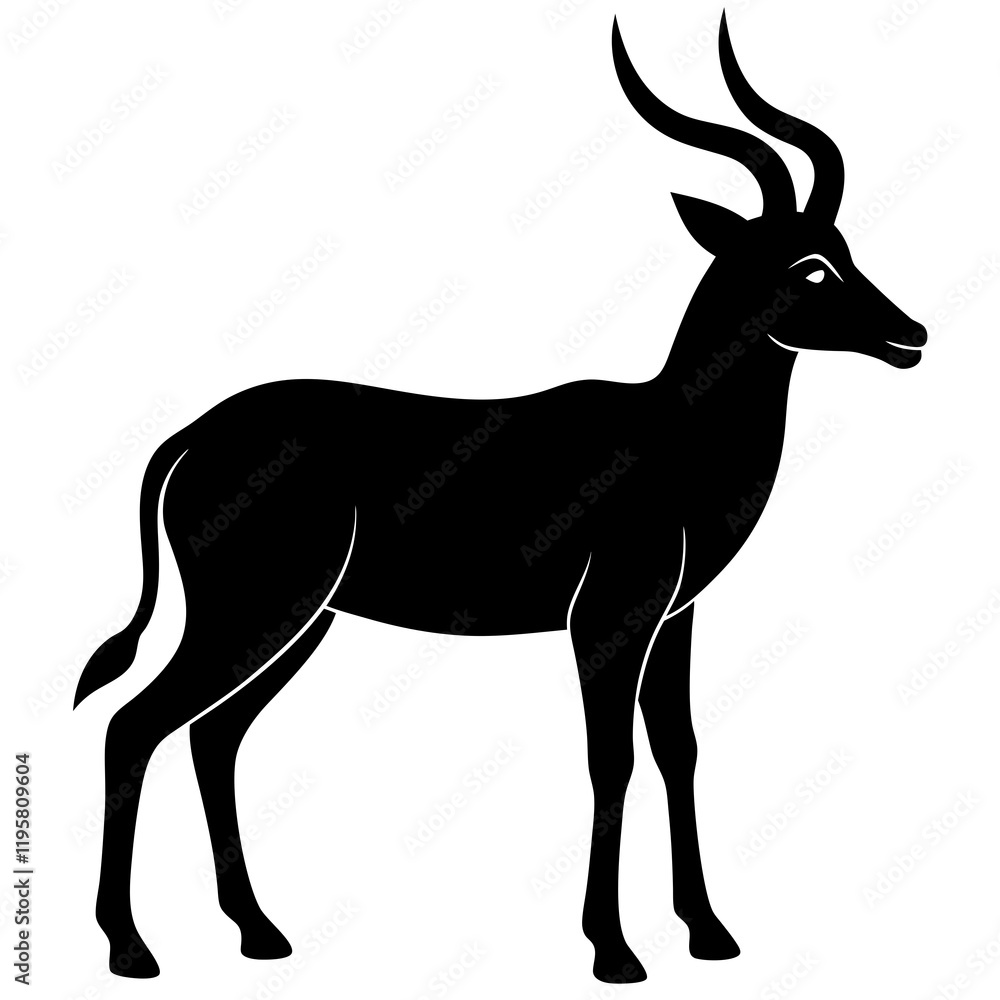 Fototapeta premium silhouette of a deer