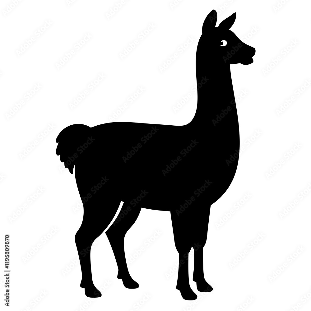 Fototapeta premium silhouette of a Llama
