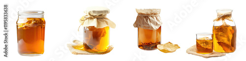 Kombucha tea – The base tea (usually black or green) that is fermented with a SCOBY to make kombucha. Isolated on Clear White Background Highly Detailed