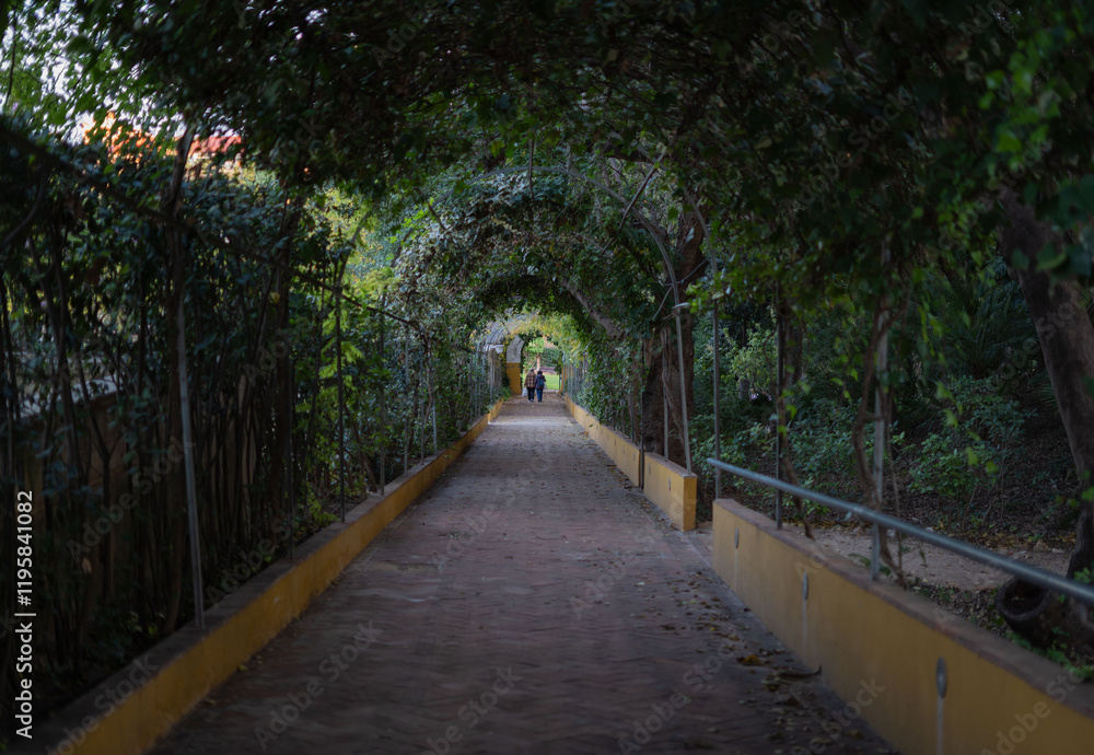 Obraz premium Leafy tunnel