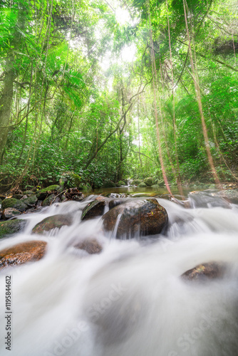  Waterfall walking through the woods