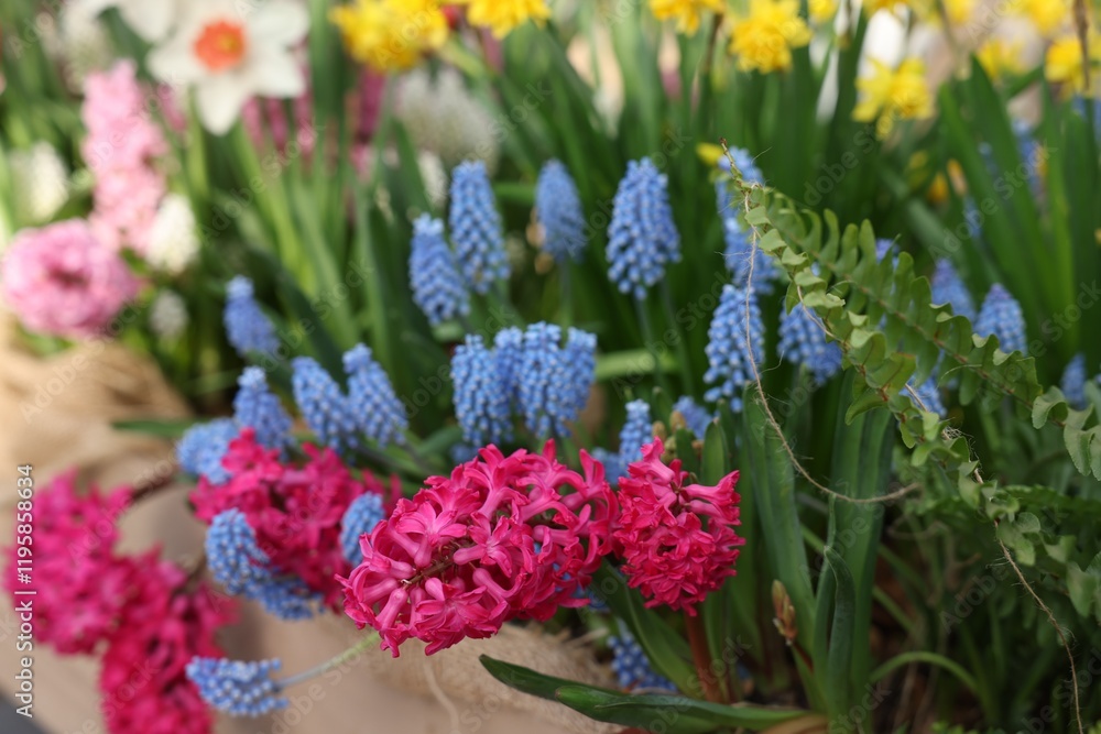 Obraz premium Many different flowers in wooden crate, closeup. Spring season