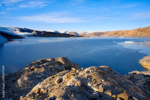 Bruckner and Heim Glacier. Bruckner Glacier, lateral moraine dating back to t...