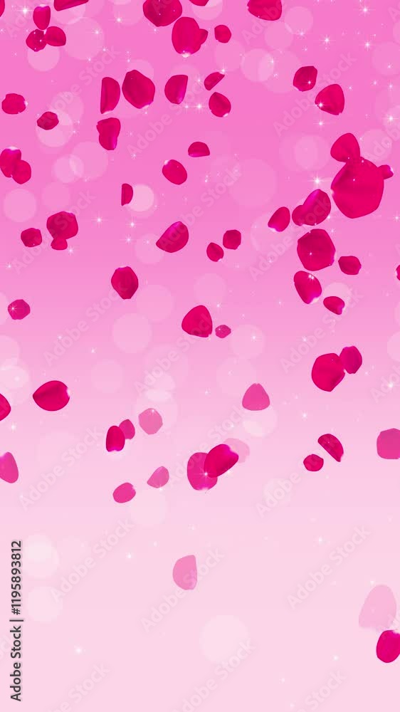 pink rose petals and shiny stars falling valentines day love animation,cosmetic and beauty social media vertical motion background pink rose petals and shiny stars falling valentines day love animation,cosmetic and beauty social media vertical motion background