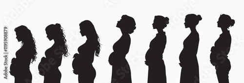 Silhouettes of Pregnant Women in Various Stages of Pregnancy and Maternity Journey