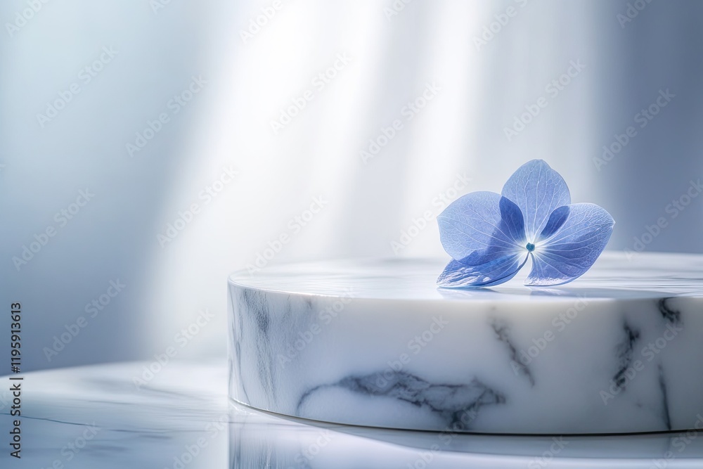Delicate blue flower resting on elegant marble surface, soft lig Delicate blue flower resting on elegant marble surface, soft lig