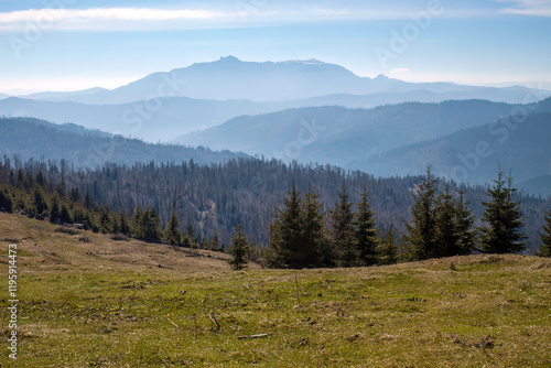 Mountainous Landscape with Forested Hills and Grassy Meadow