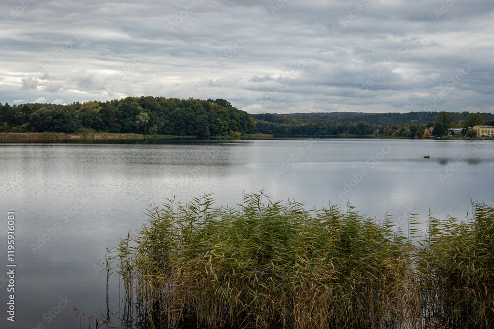 Obraz premium Peaceful lake with forest reflections under cloudy sky 2