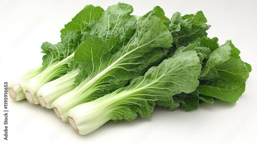 Fresh Bok Choy harvest, studio shot, white background, recipe ingredient Fresh Bok Choy harvest, studio shot, white background, recipe ingredient