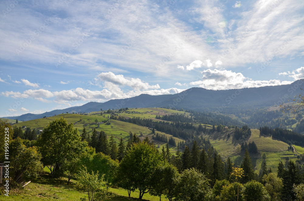 Obraz premium Expansive countryside view featuring lush green hills, scattered trees, distant mountains, and a clear blue sky enriched with fluffy white clouds, perfect for nature and travel themes. Carpathians