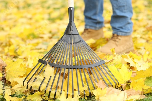 Man gathering fallen leaves with fan rake outdoors, closeup photo