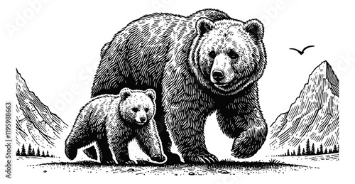 mother bear and her cub walking together engraving black and white outline