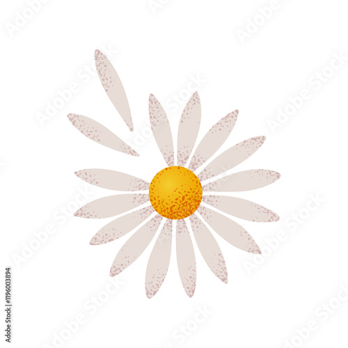 Daisy flower with flying petals. Love me not guessing game. Loves me, loves me not chamomile fortune-telling. Hand drawn vector flower illustration for Valentines day stickers, cards, and banners.