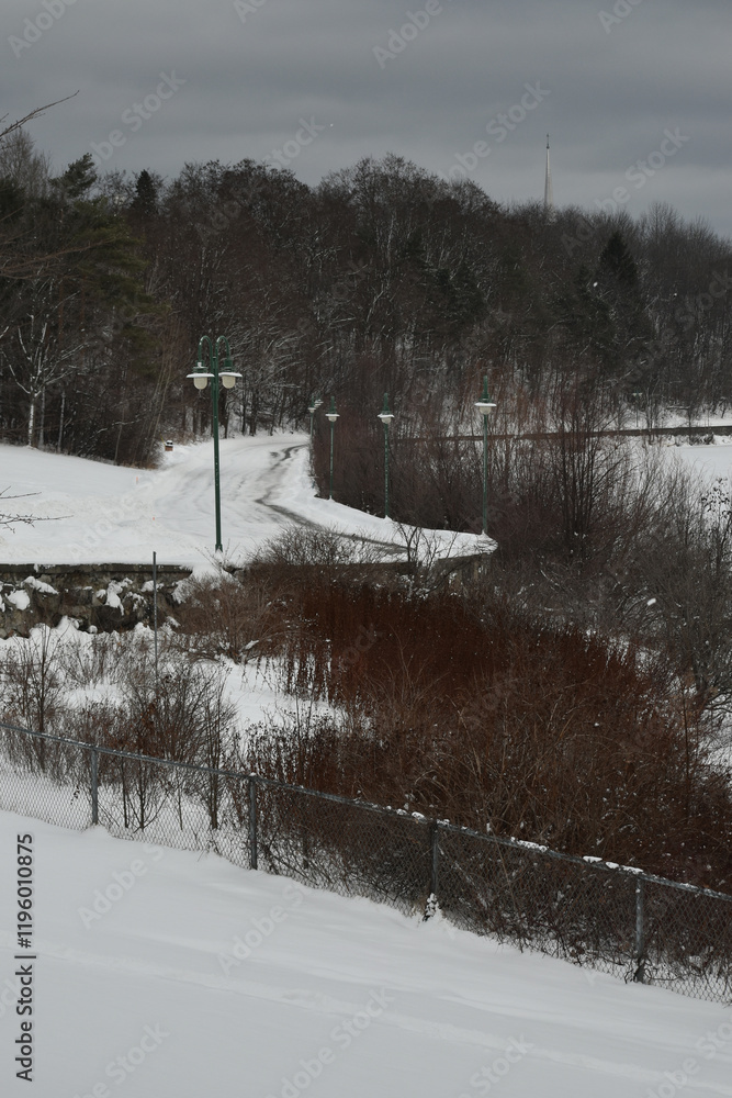Sherbrooke 14 Janvier 2025