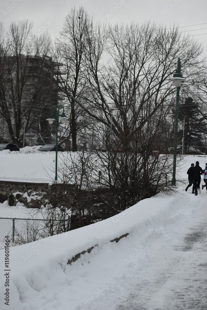 Sherbrooke 14 Janvier 2025