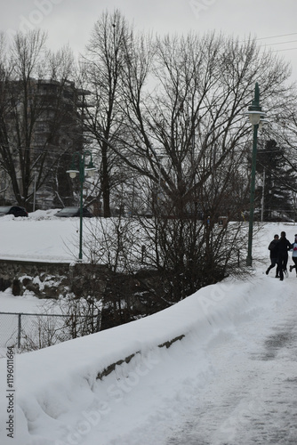 Obraz na płótnie Sherbrooke 14 Janvier 2025 w salonie