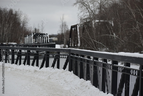 Obraz na płótnie Sherbrooke 14 Janvier 2025 w salonie