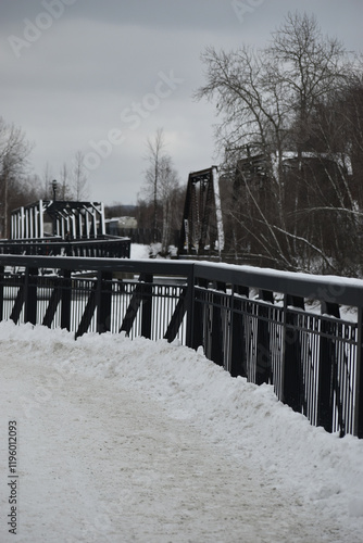 Obraz na płótnie Sherbrooke 14 Janvier 2025 w salonie