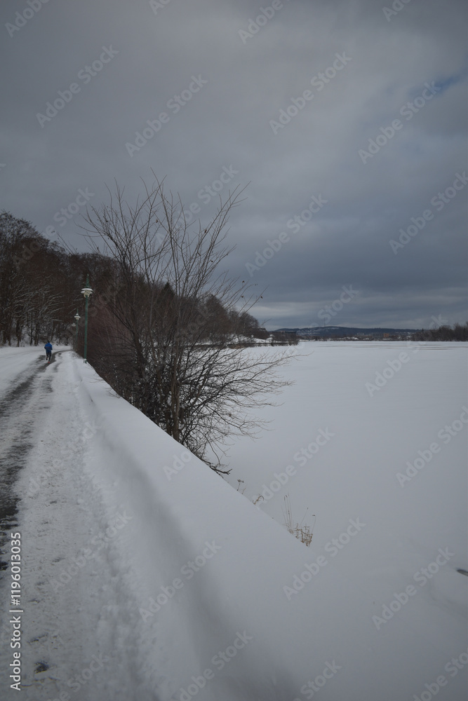 Sherbrooke 14 Janvier 2025