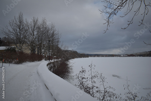 Obraz na płótnie Sherbrooke 14 Janvier 2025 w salonie