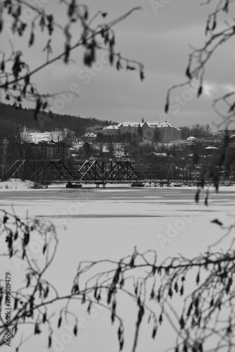 Sherbrooke 14 Janvier 2025 - N&B