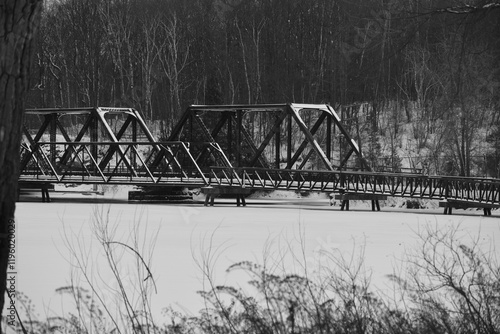 Obraz na płótnie Sherbrooke 14 Janvier 2025 - N&B w salonie
