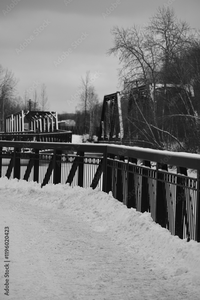 Sherbrooke 14 Janvier 2025 - N&B