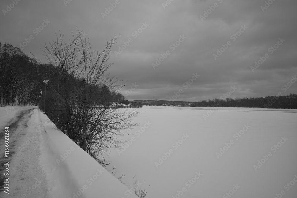 Sherbrooke 14 Janvier 2025 - N&B