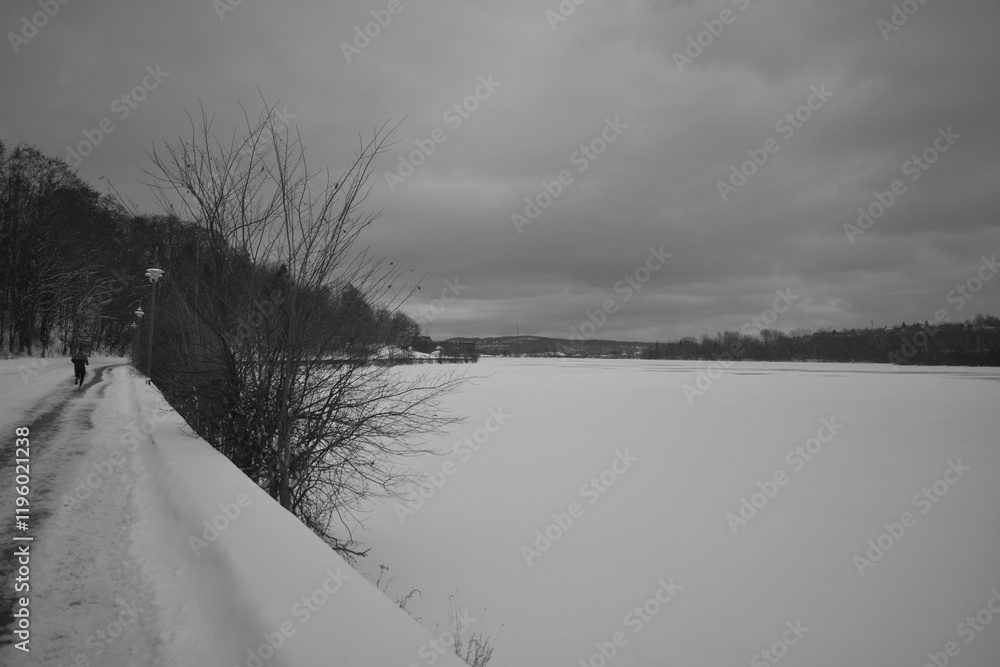 Sherbrooke 14 Janvier 2025 - N&B