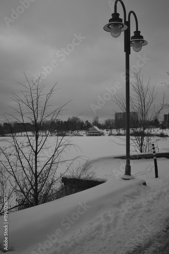 Obraz na płótnie Sherbrooke 14 Janvier 2025 - N&B w salonie