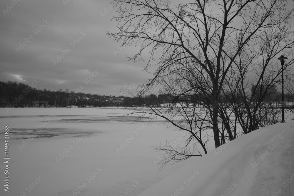 Sherbrooke 14 Janvier 2025 - N&B