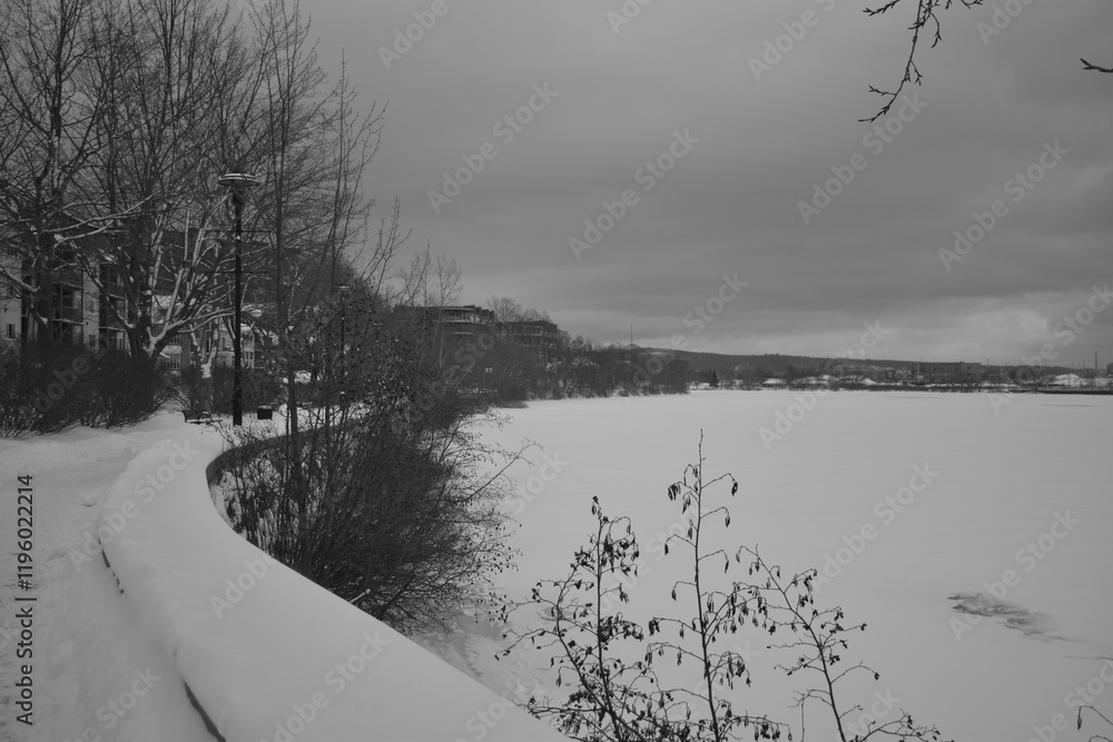 Sherbrooke 14 Janvier 2025 - N&B