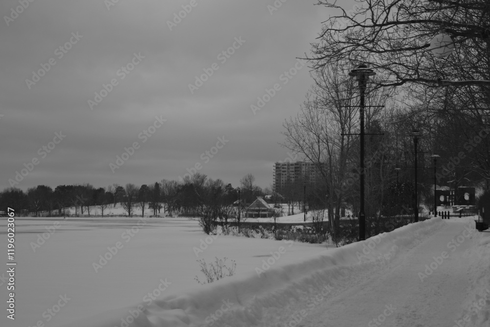 Sherbrooke 14 Janvier 2025 - N&B