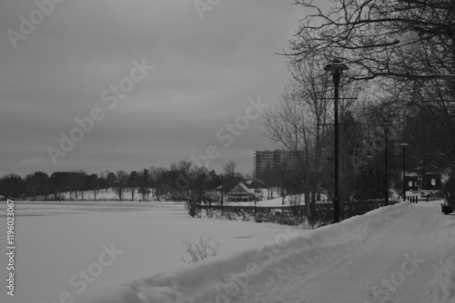 Obraz na płótnie Sherbrooke 14 Janvier 2025 - N&B w salonie